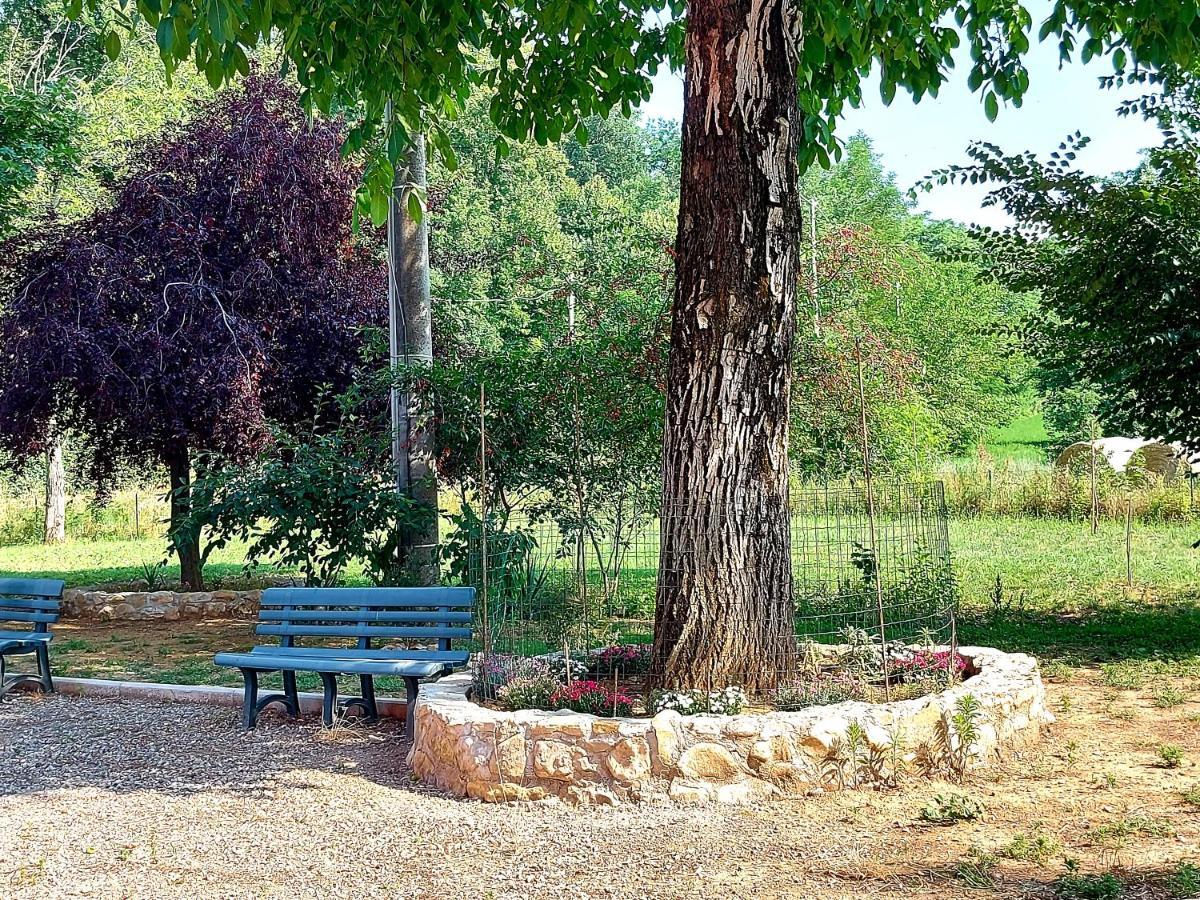 Agriturismo Azienda Agricola Ferrari M.Rita Pozza エクステリア 写真