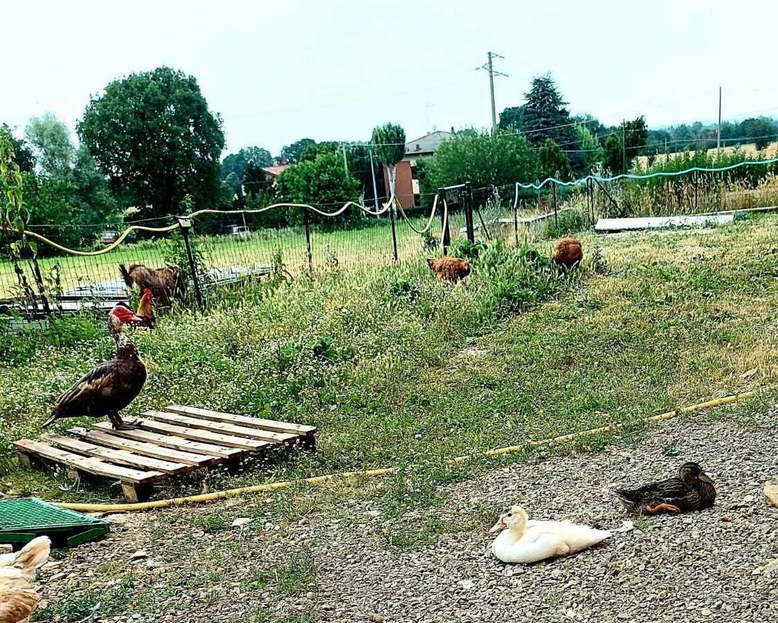 Agriturismo Azienda Agricola Ferrari M.Rita Pozza エクステリア 写真